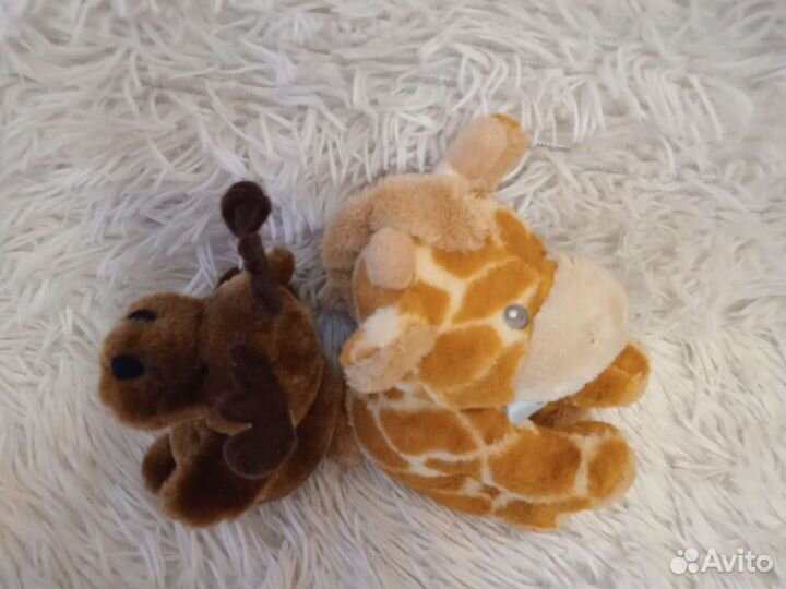 Лось и жирафик