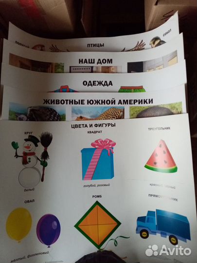 Обучающие плакаты и растомеры
