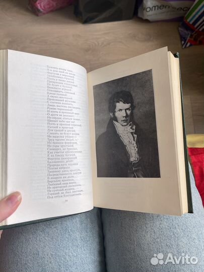 Вяземский стихотворения библиотека поэта