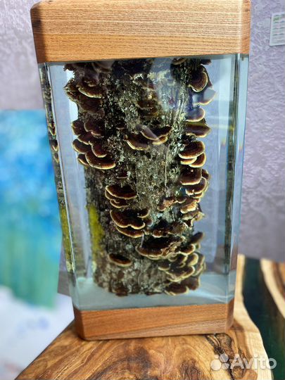 Светильник орешник с грибочками