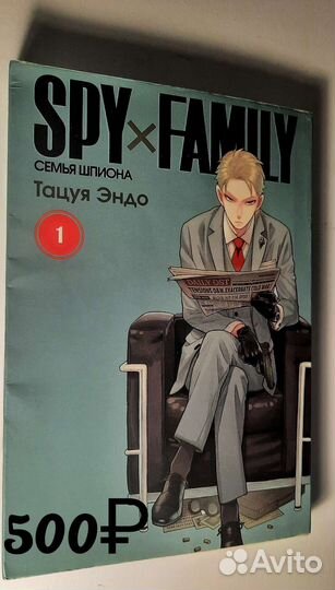 Книги Врата Штейна, семья шпиона