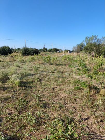 Участок 24 сот. (ИЖС)