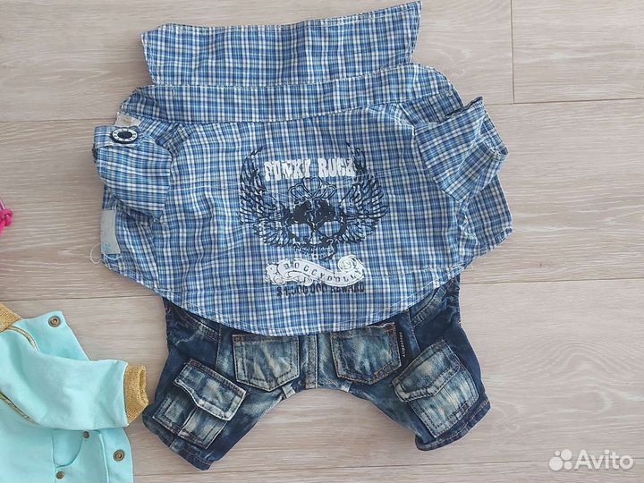 Одежда для собак