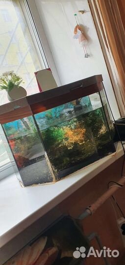 Аквариум с рыбками и оборудованием
