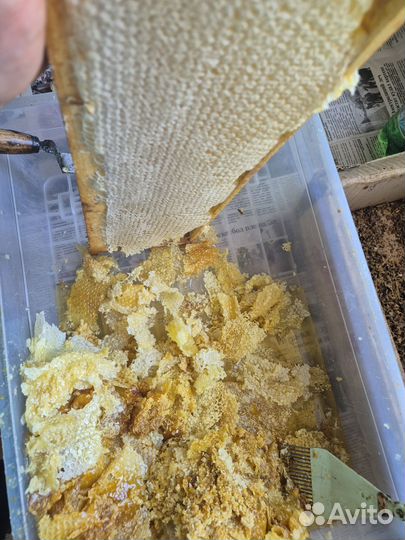 Забрус пчелиный 1кг