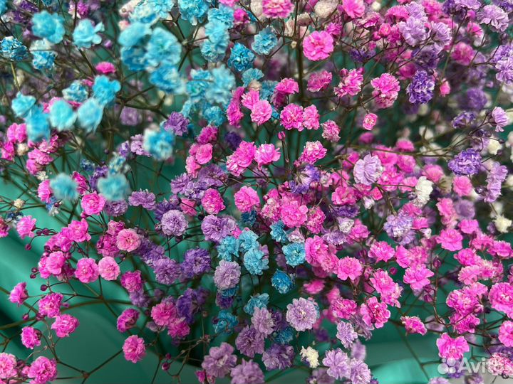 Букет из радужной гипсофилы