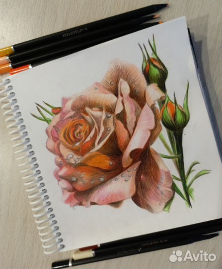 Рисунок карандашами