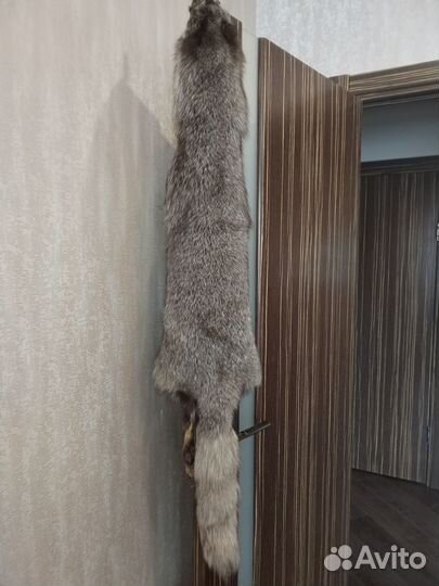 Шкурка песца из зверосовхоза