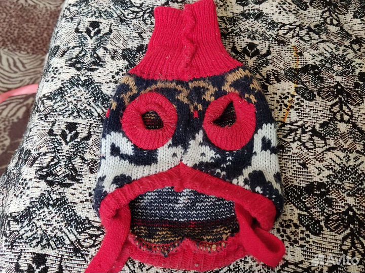 Одежда для сфинксов или собак мелких пород