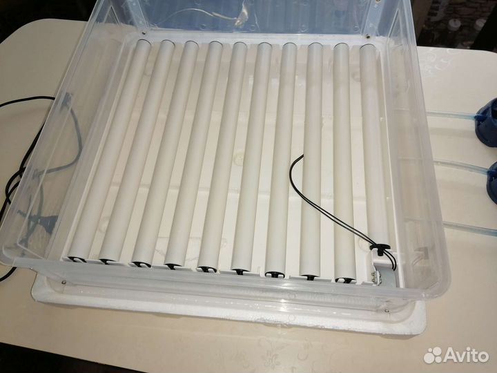 Инкубатор автоматический на 63 яйца