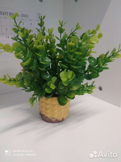 Творческие мастер-классы