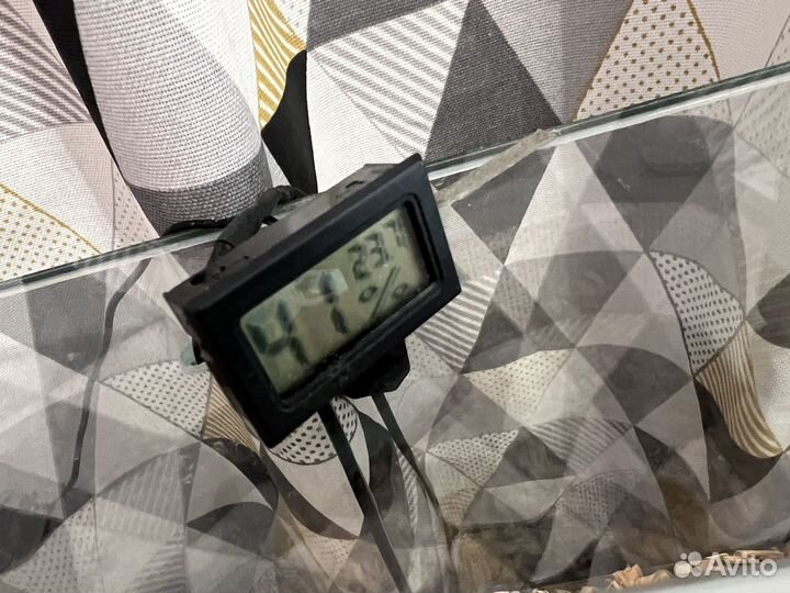 Террариум для эублефара