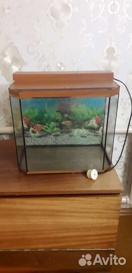 Аквариум