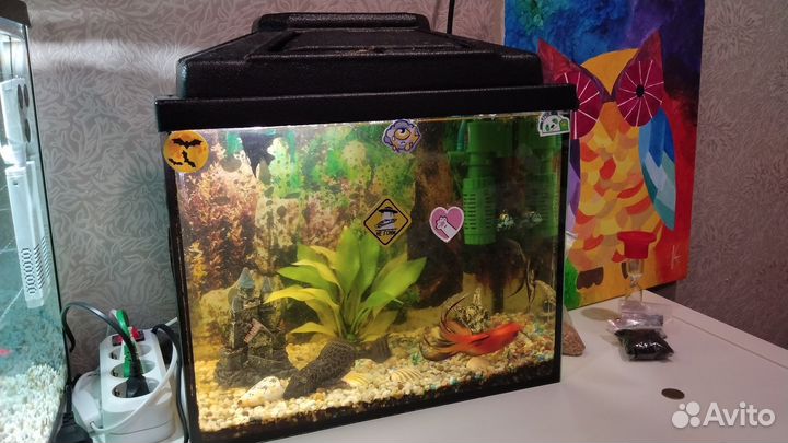 Аквариум 25 л