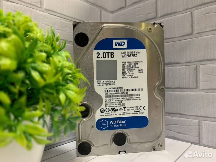 Hdd 2tb 2000gb гигабайт 3.5