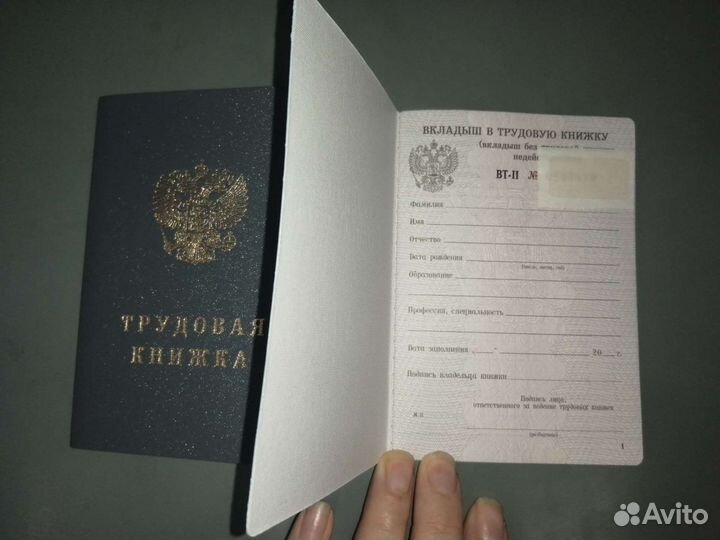 Трудовая книжка и вкладыш