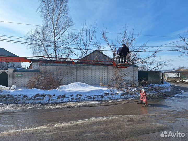 Спил деревьев расчистка участка корчевание пней