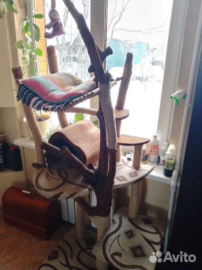 Когтеточка домик для кошки новый