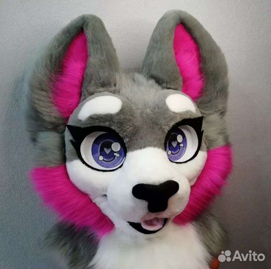 Основа фурсьют (кошка)