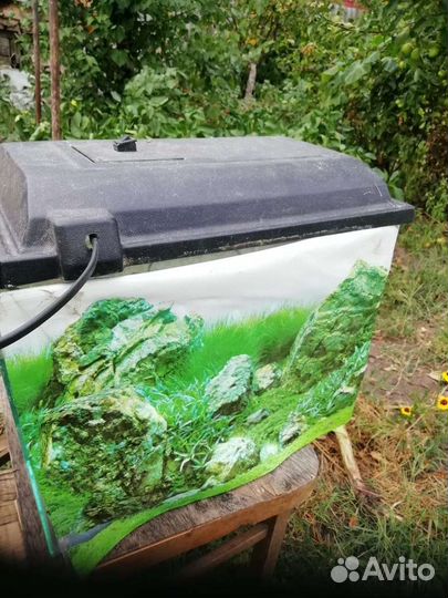 Аквариум 10 литров