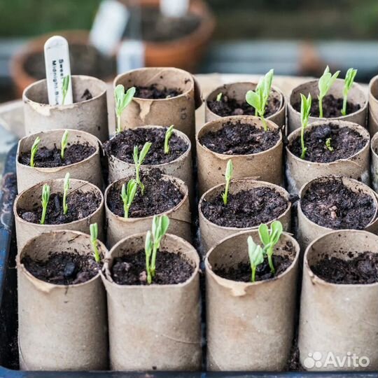 Картонные втулки для рассады 140 шт