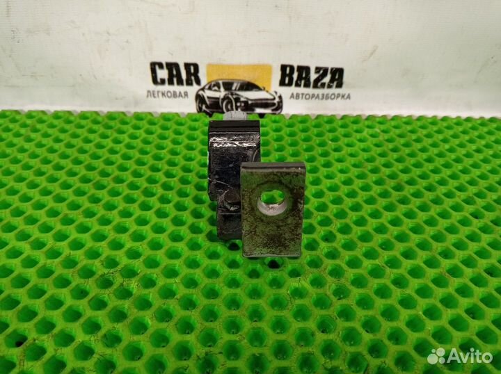 Петля двери задней правой верхняя R