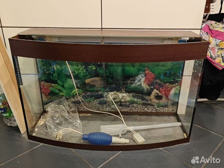 Аквариум