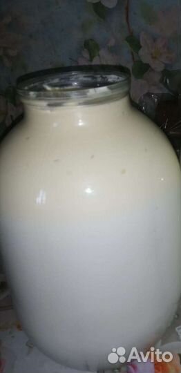 Молоко Джерсийских коров