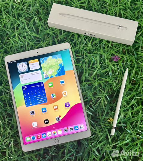 iPad Air 3 2019 64gb Gold АКБ-89 Рст Procreate