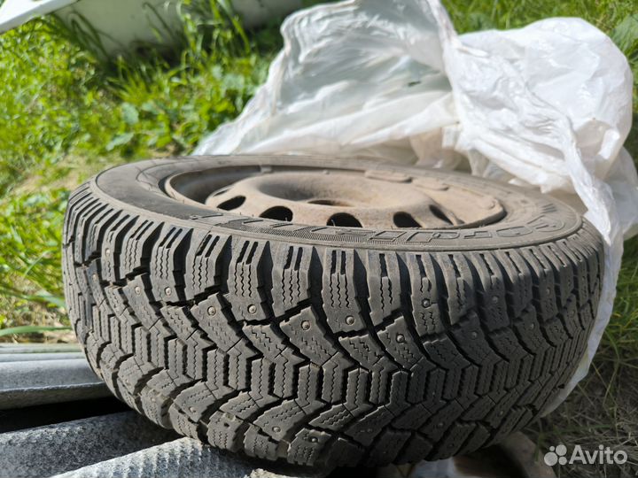 Cordiant Polar 185/65 R14