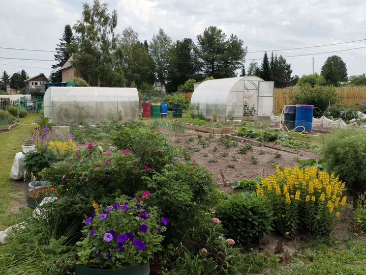 Дача 44 м² на участке 12 сот.