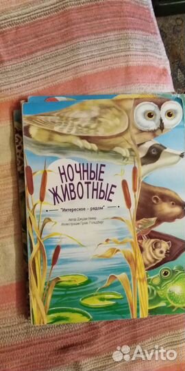 Жизнь в джунглях, картинки для Детей