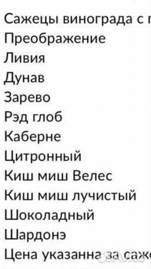 Саженцы винограда