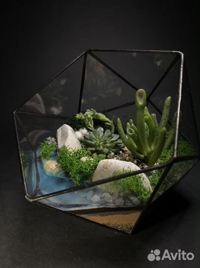Флорариум с кактусом и суккулентами