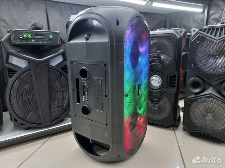 Большая мощная колонка со штативом ZQS6215