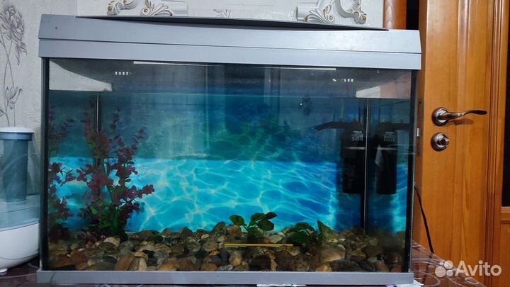 Аквариум
