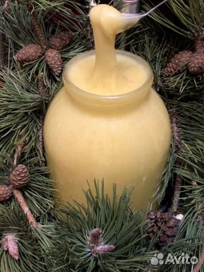 Мед 3 литра донник,шалфей