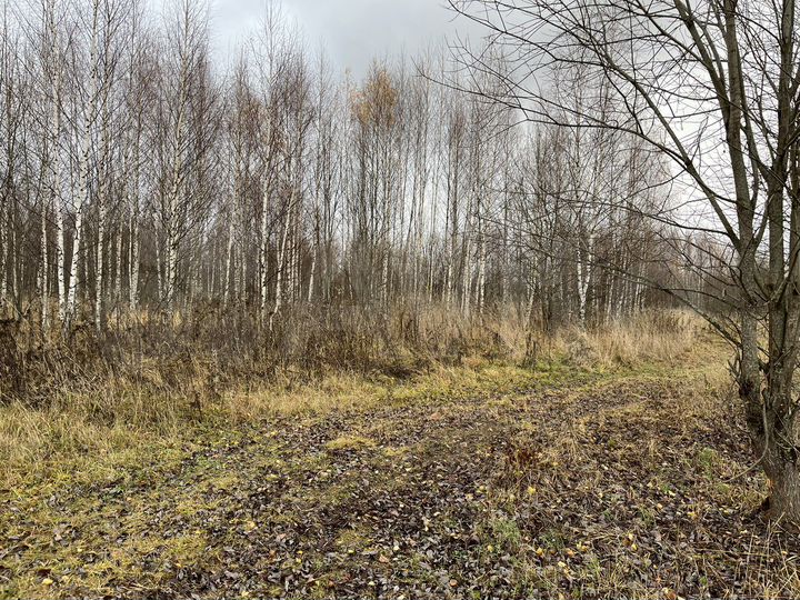 Участок 10 сот. (ИЖС)