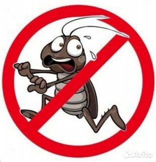 Уничтожение тараканов, клопов, блох
