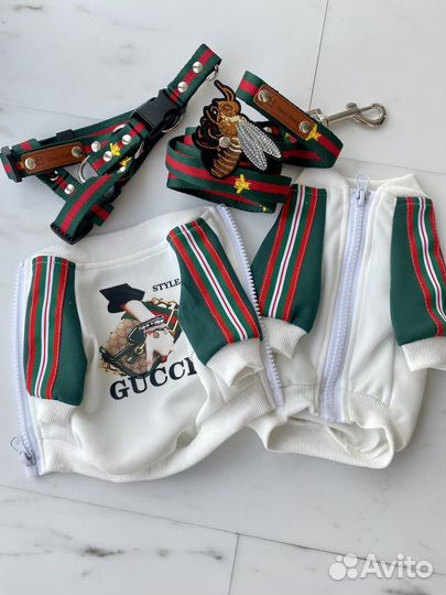 Одежда для собак