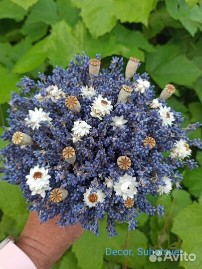 Букет из сухоцветов