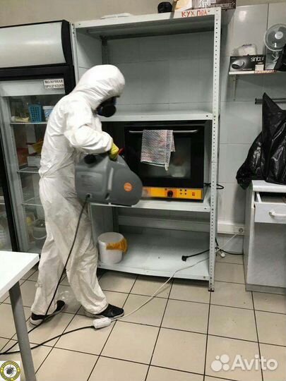 Дезинсекция, травля клопов, уничтожение тараканов