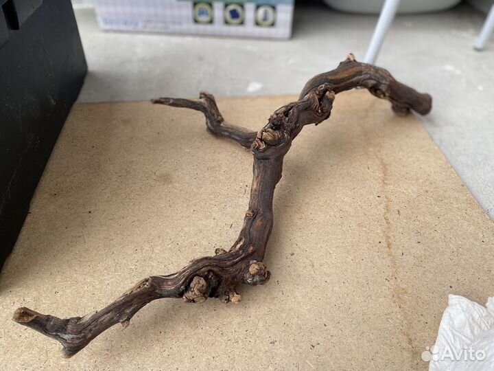 Декорации для террариума и переноска