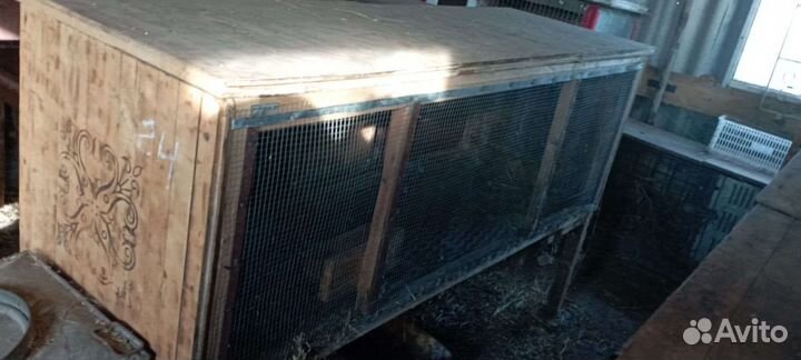 Крольчатник