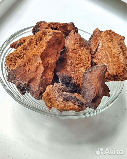 Чага березовая