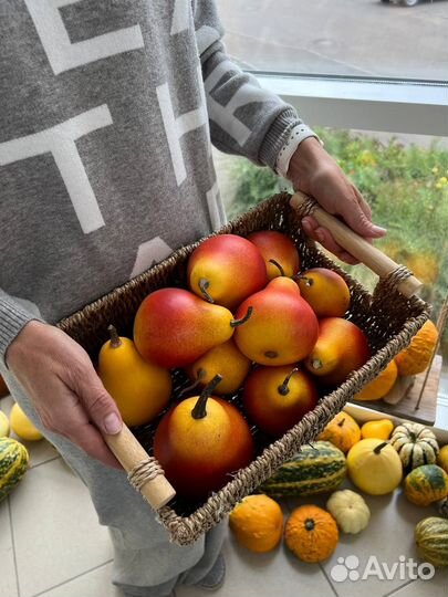 Тыквы декоративные в ассортименте и семена