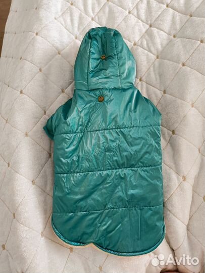 Костюм для маленькой собаки