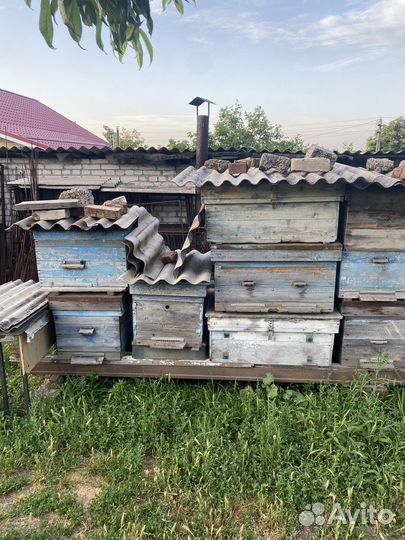 Улей для пчел