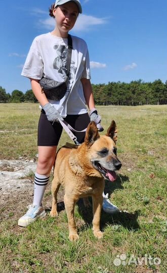 Красавчик Хантер