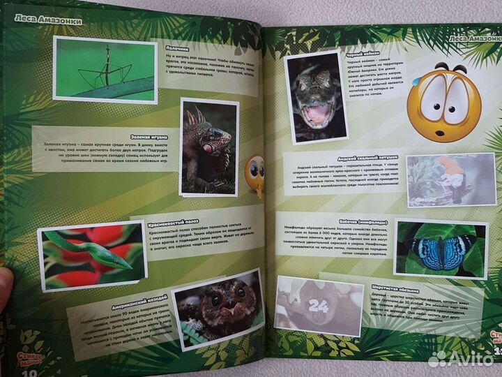 Энциклопедия тропических животных Стикермания